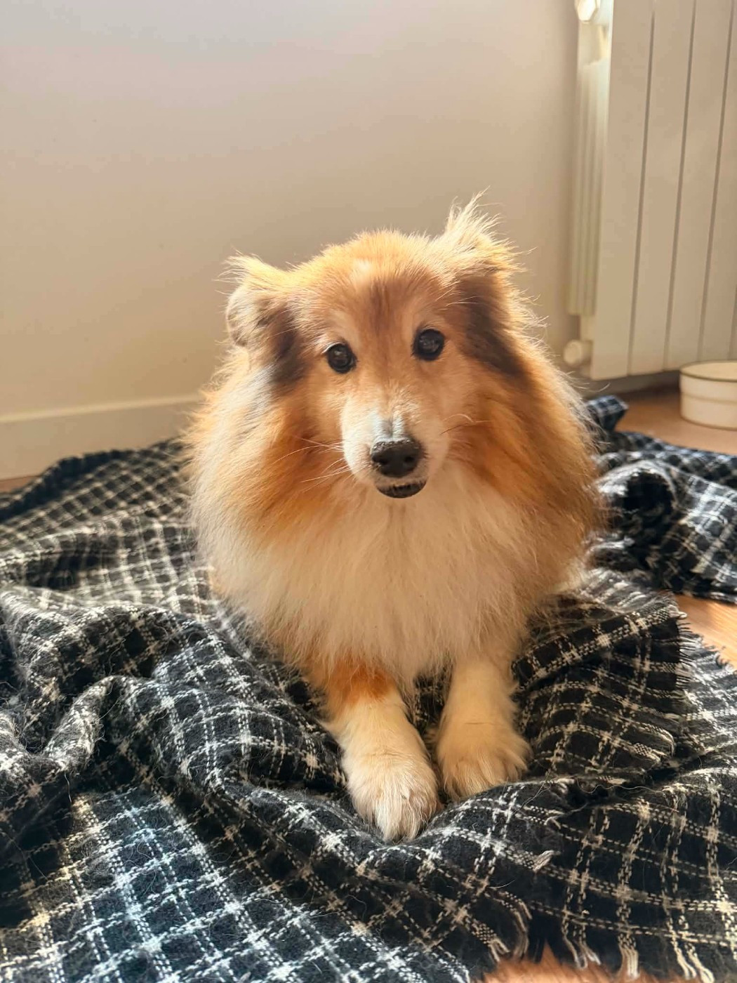 Iloma recherche une nouvelle famille